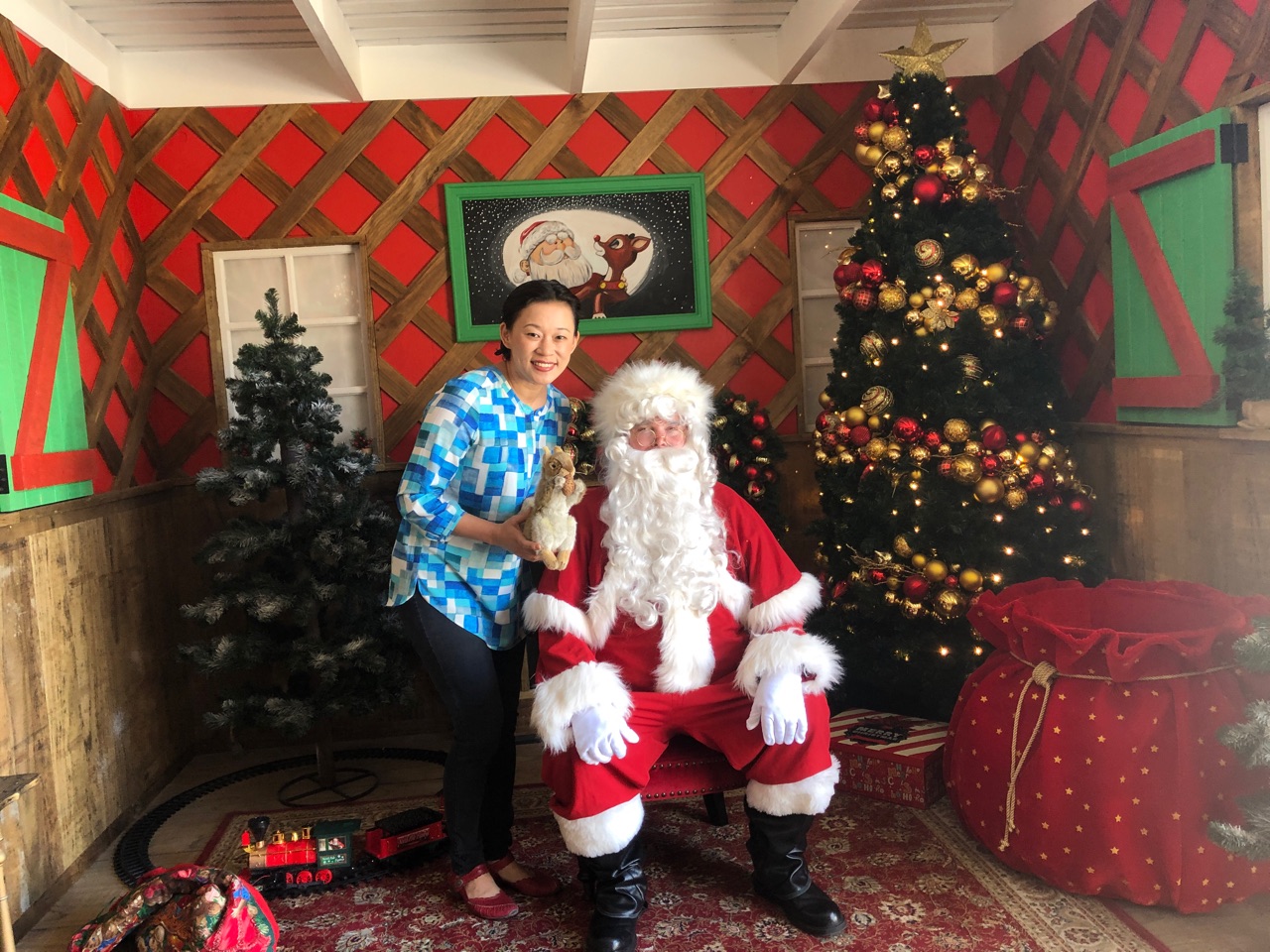Our optometrist Dr SooJin was lucky enough to visit Santa’s home. It’s actually quite near when you ride a sleigh.